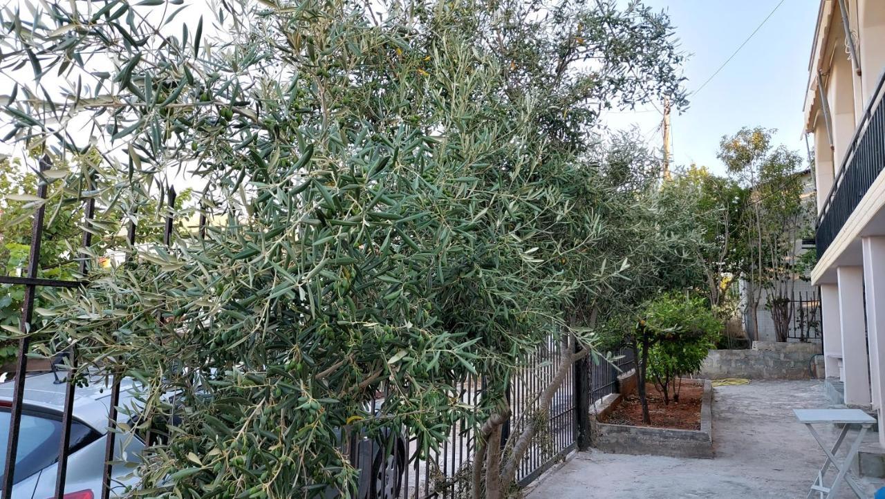 Helen'S Cozy Studio 2 Αρτέμιδα Εξωτερικό φωτογραφία